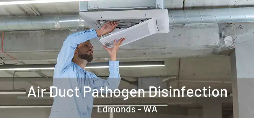  Air Duct Pathogen Disinfection Edmonds - WA