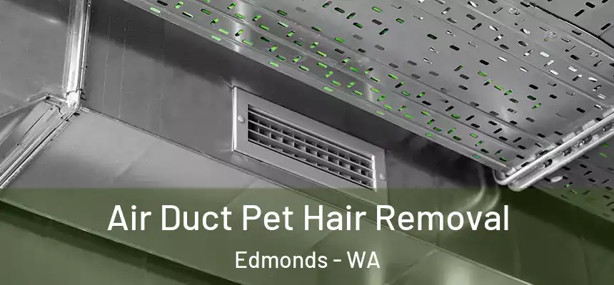 Air Duct Pet Hair Removal Edmonds - WA
