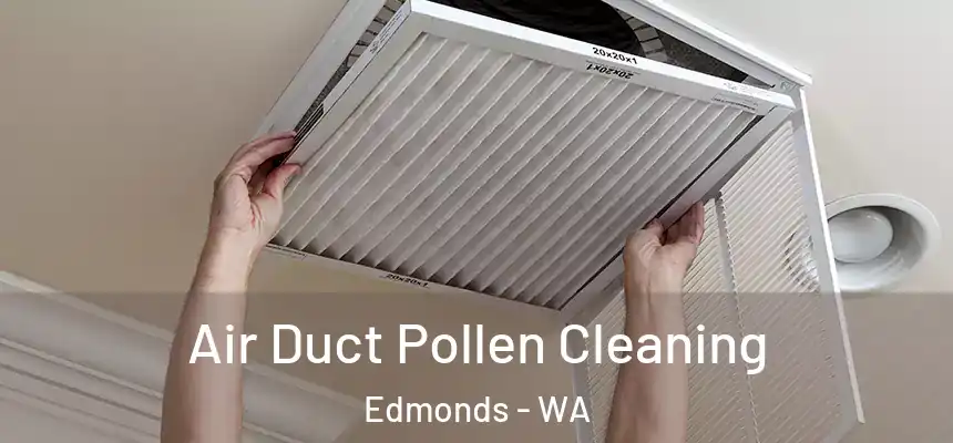  Air Duct Pollen Cleaning Edmonds - WA