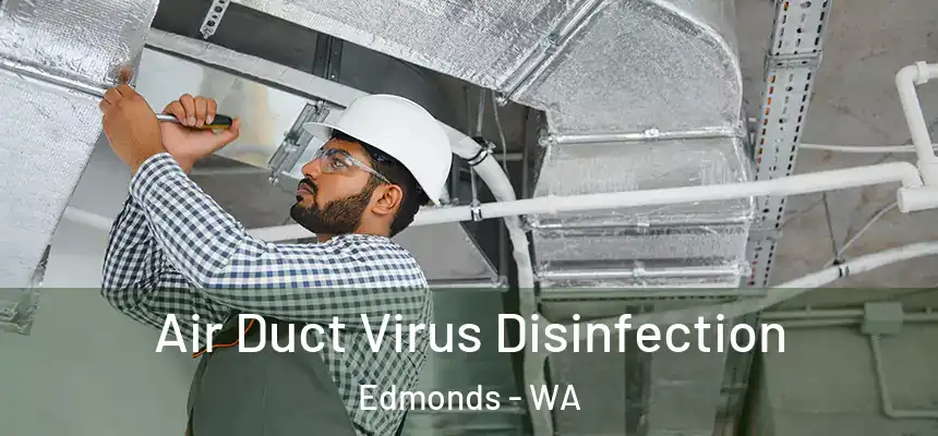 Air Duct Virus Disinfection Edmonds - WA