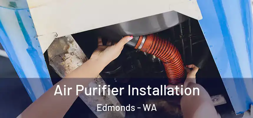  Air Purifier Installation Edmonds - WA
