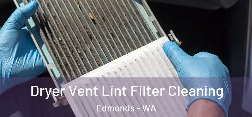  Dryer Vent Lint Filter Cleaning Edmonds - WA
