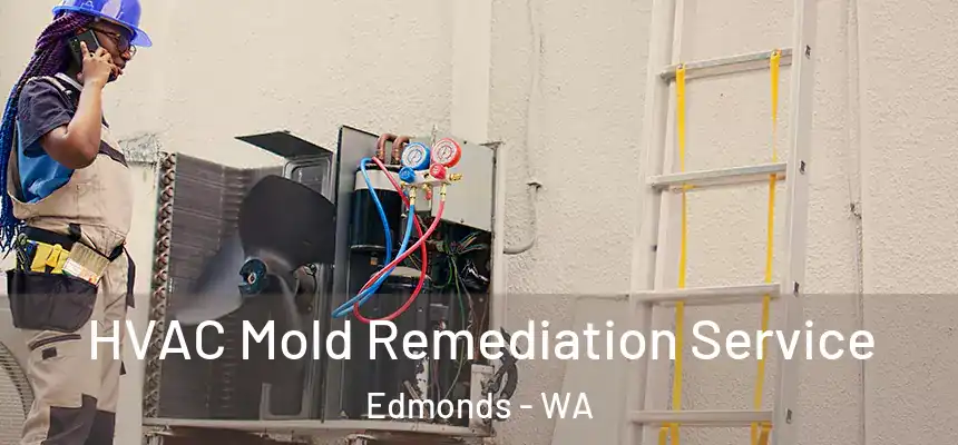  HVAC Mold Remediation Service Edmonds - WA