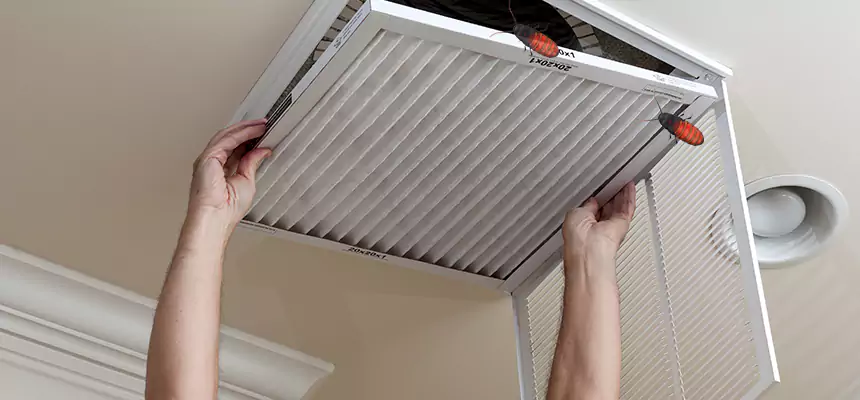 Preventive Cockroach-Proofing for Ducts in Edmonds
