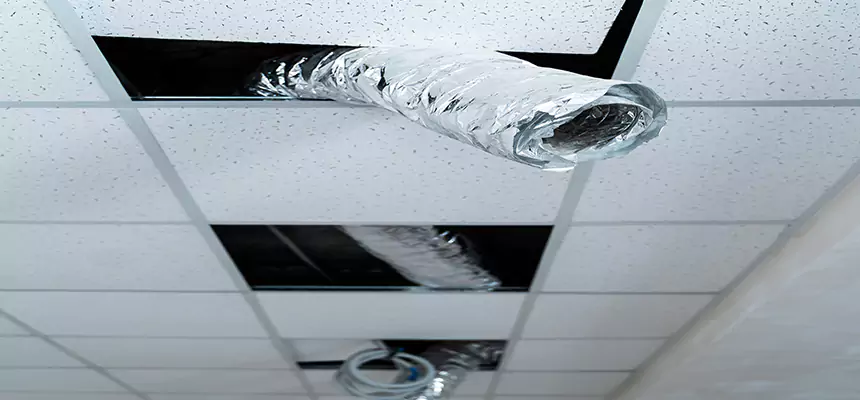 Affordable HVAC Sanitizing After Pest Removal in Edmonds