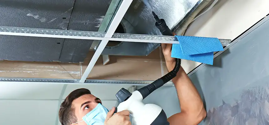 Our Air Duct Rodent Removal Services in Edmonds, WA