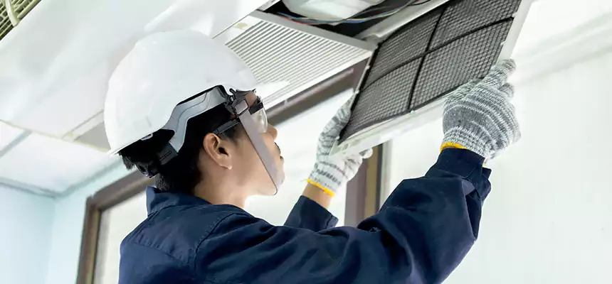 Our Mold & Mildew Removal from Air Ducts Services in Edmonds, WA