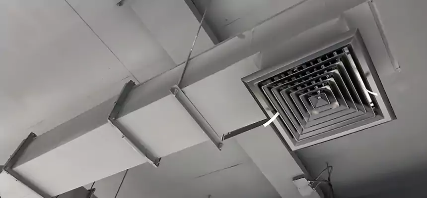 Our Rodent Droppings In Vents Services in Edmonds, WA