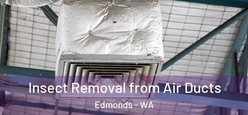  Insect Removal from Air Ducts Edmonds - WA