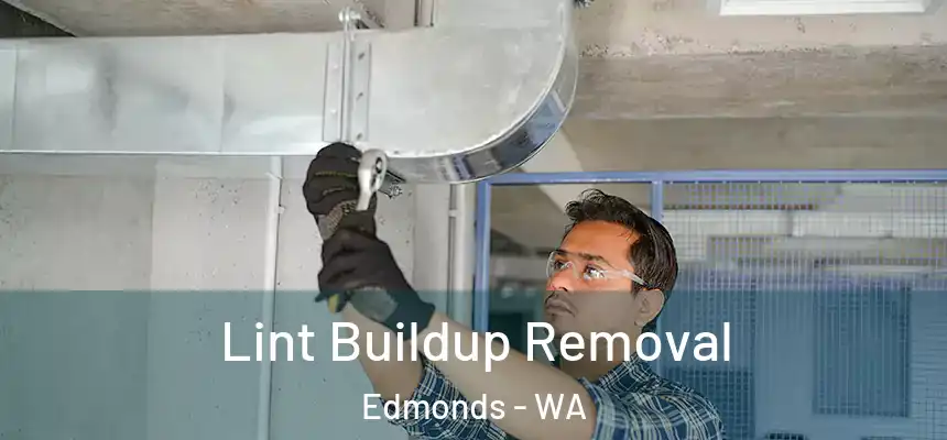 Lint Buildup Removal Edmonds - WA