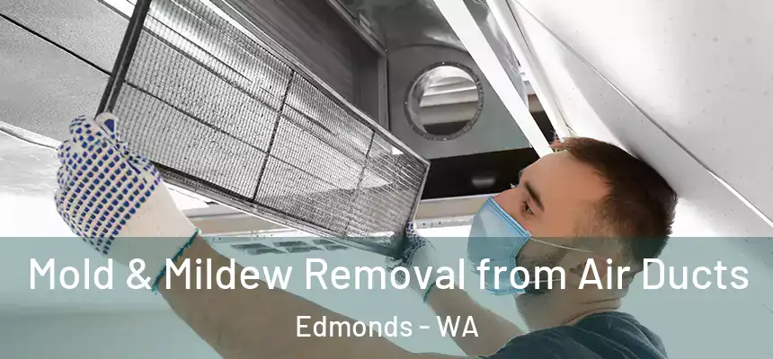  Mold & Mildew Removal from Air Ducts Edmonds - WA