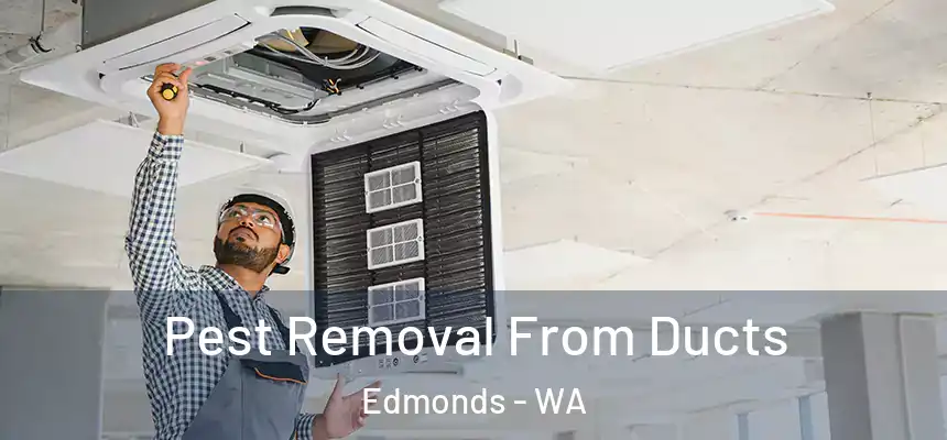  Pest Removal From Ducts Edmonds - WA