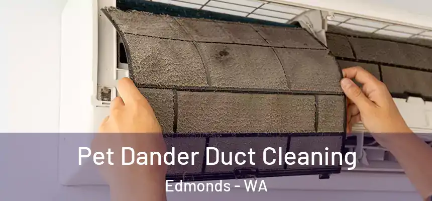 Pet Dander Duct Cleaning Edmonds - WA