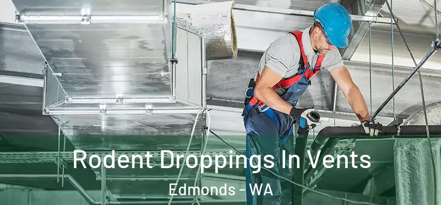  Rodent Droppings In Vents Edmonds - WA