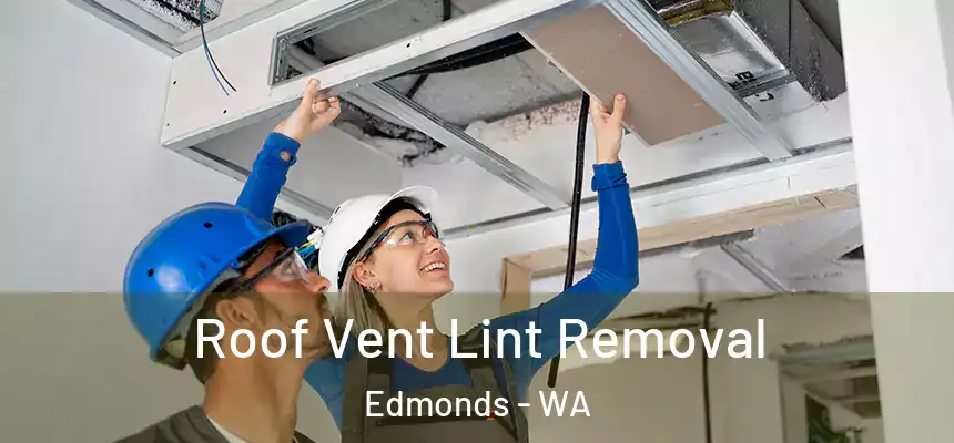  Roof Vent Lint Removal Edmonds - WA