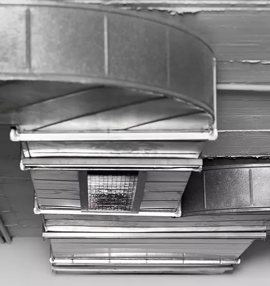 Professional Air Duct Pet Hair Removal in Edmonds, WA