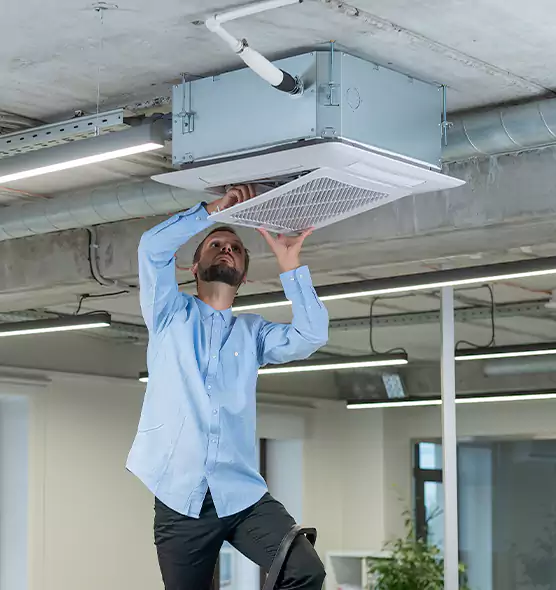 Advanced Rodent Droppings In Vents in Edmonds, WA