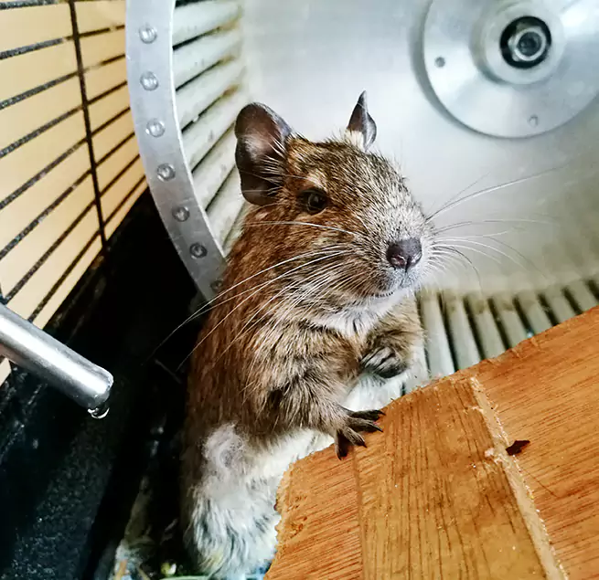 Why Homeowners & Businesses Trust Us Edmonds, WA