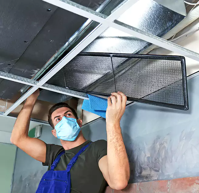 Why Homeowners Businesses Trust Us in Edmonds, WA