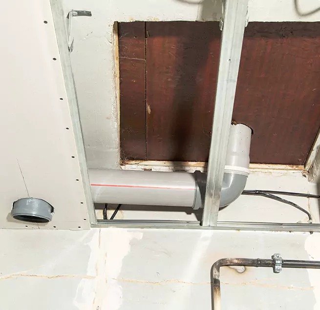 Why Homeowners & Businesses Trust Us in Edmonds, WA?