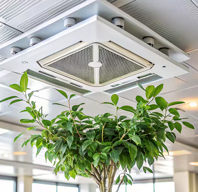 Why Homeowners & Businesses Trust Us in Edmonds, WA